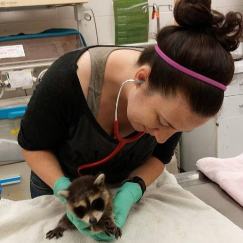 Ruth taking care of pets at Oceanside Veterinary Hospital