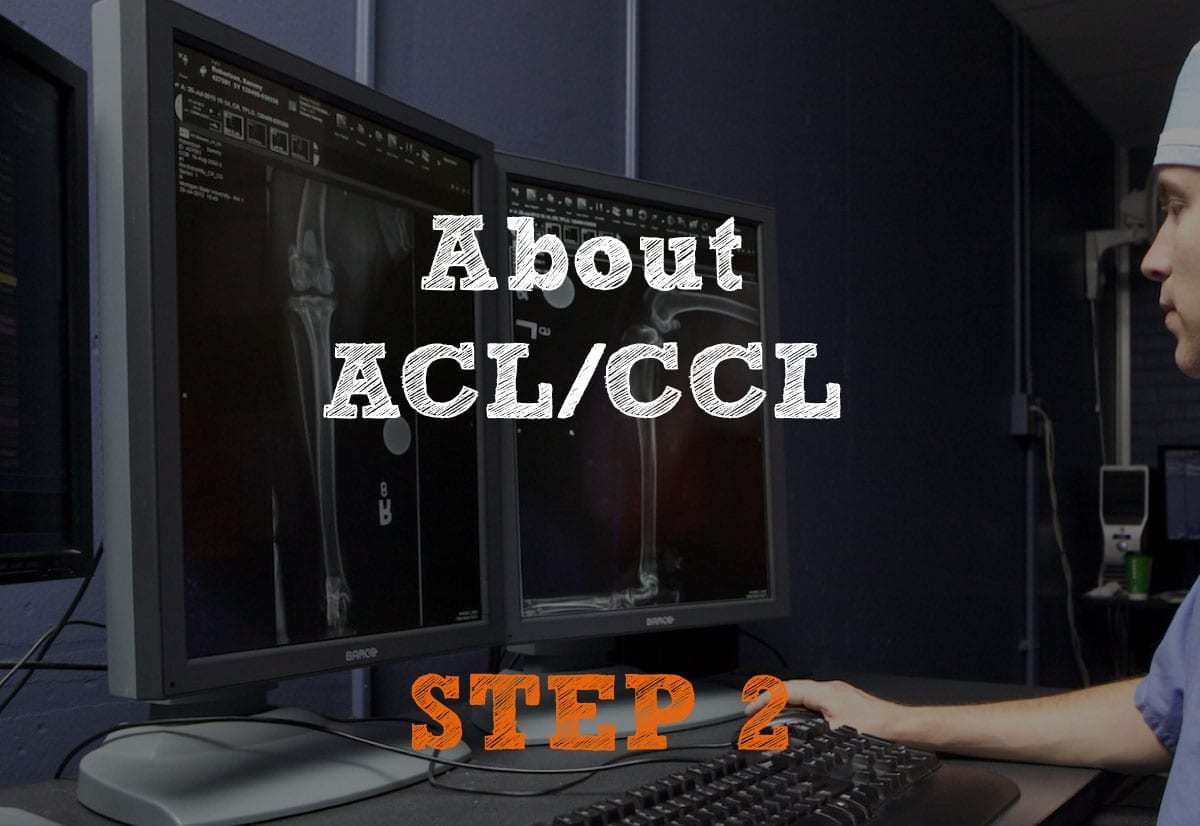 About ACL/CCL