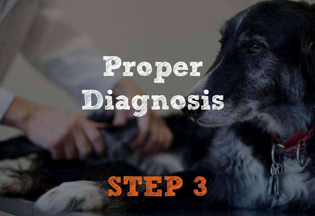 Proper Diagnosis Step-3
