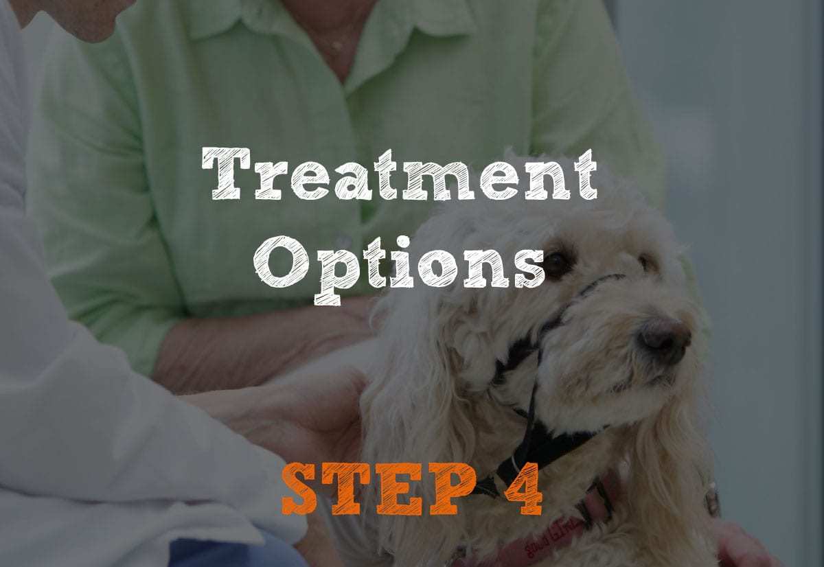 Treatment Options Step-4