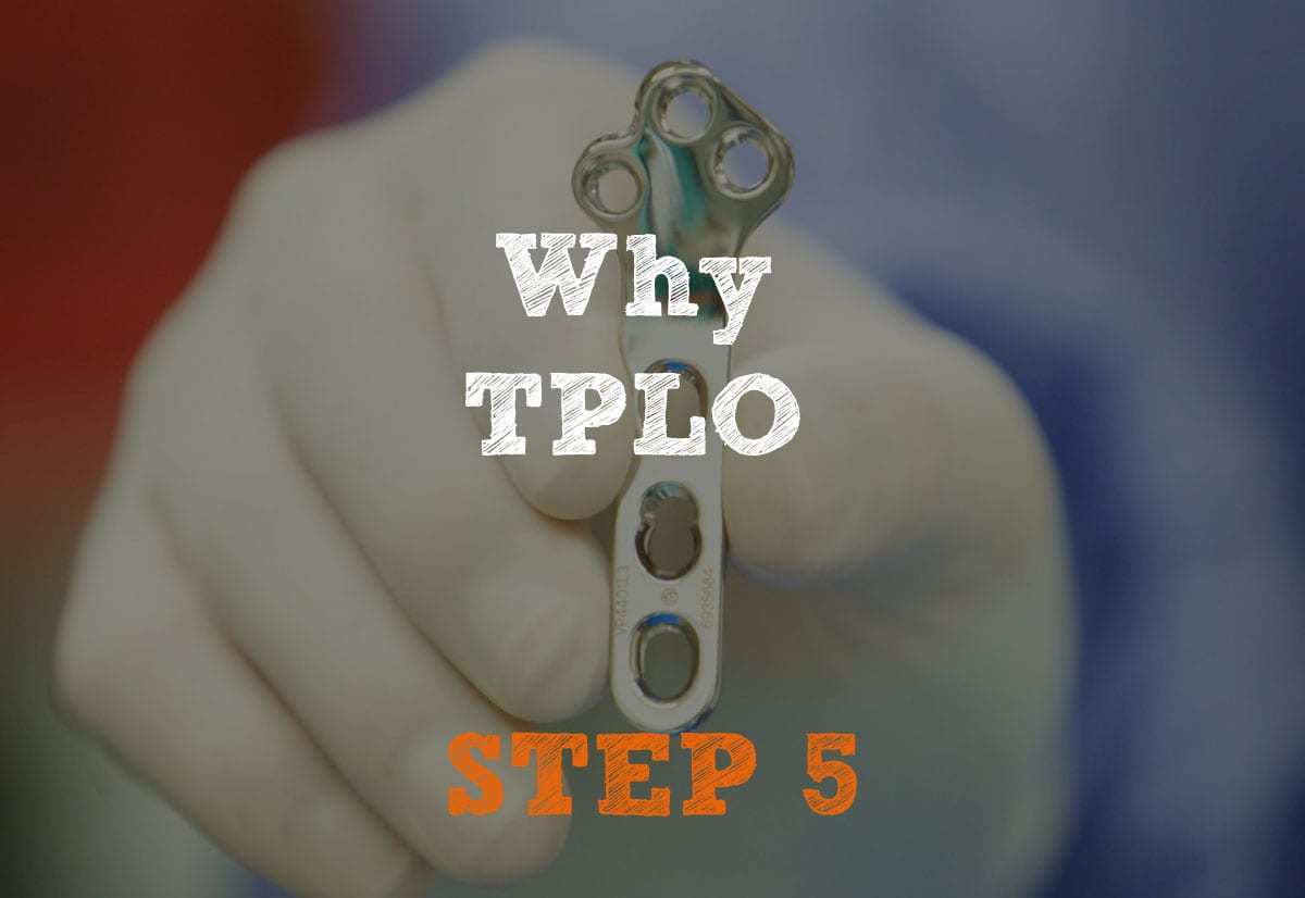 Why TPLO Step-5