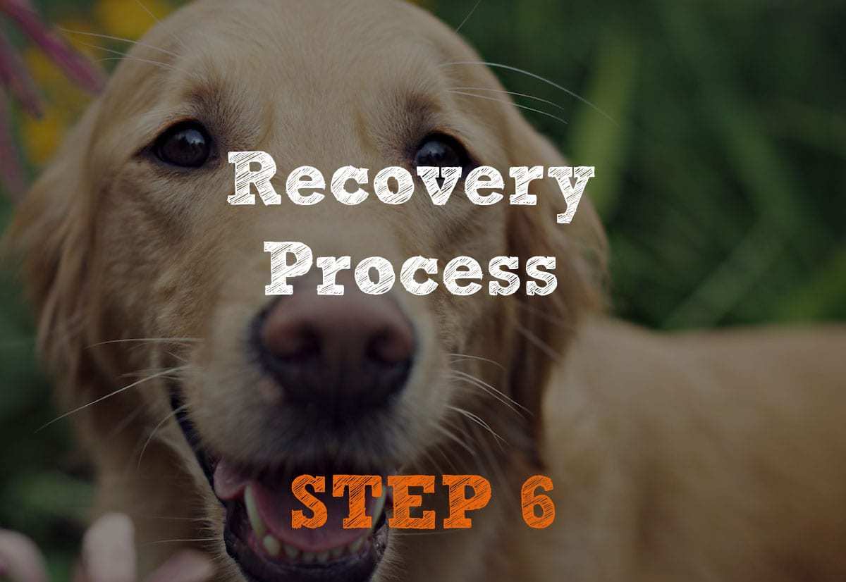 Recovery Process Step-6