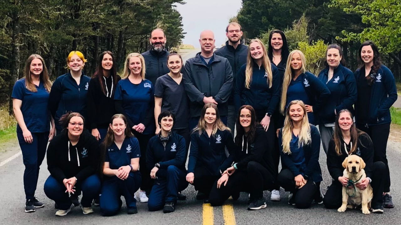 Vet Near Me Seaview, WA Oceanside Veterinary Hospital